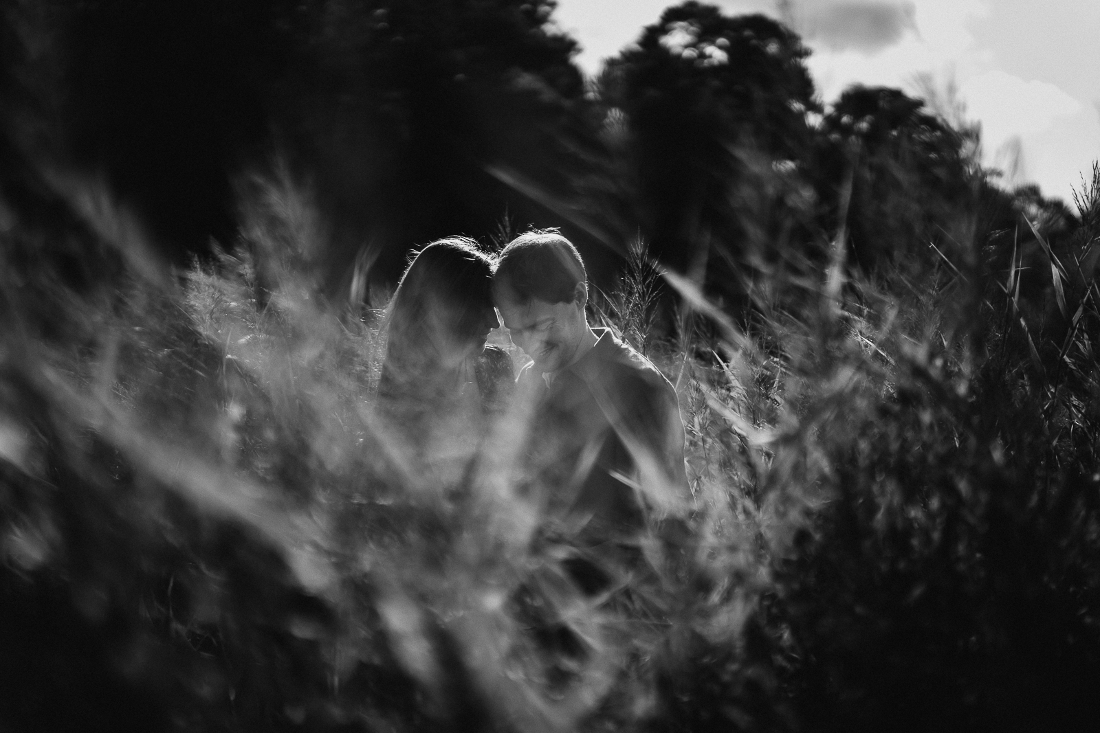 Un couple se rapproche dans les hautes herbes à contre-jour, en noir et blanc.