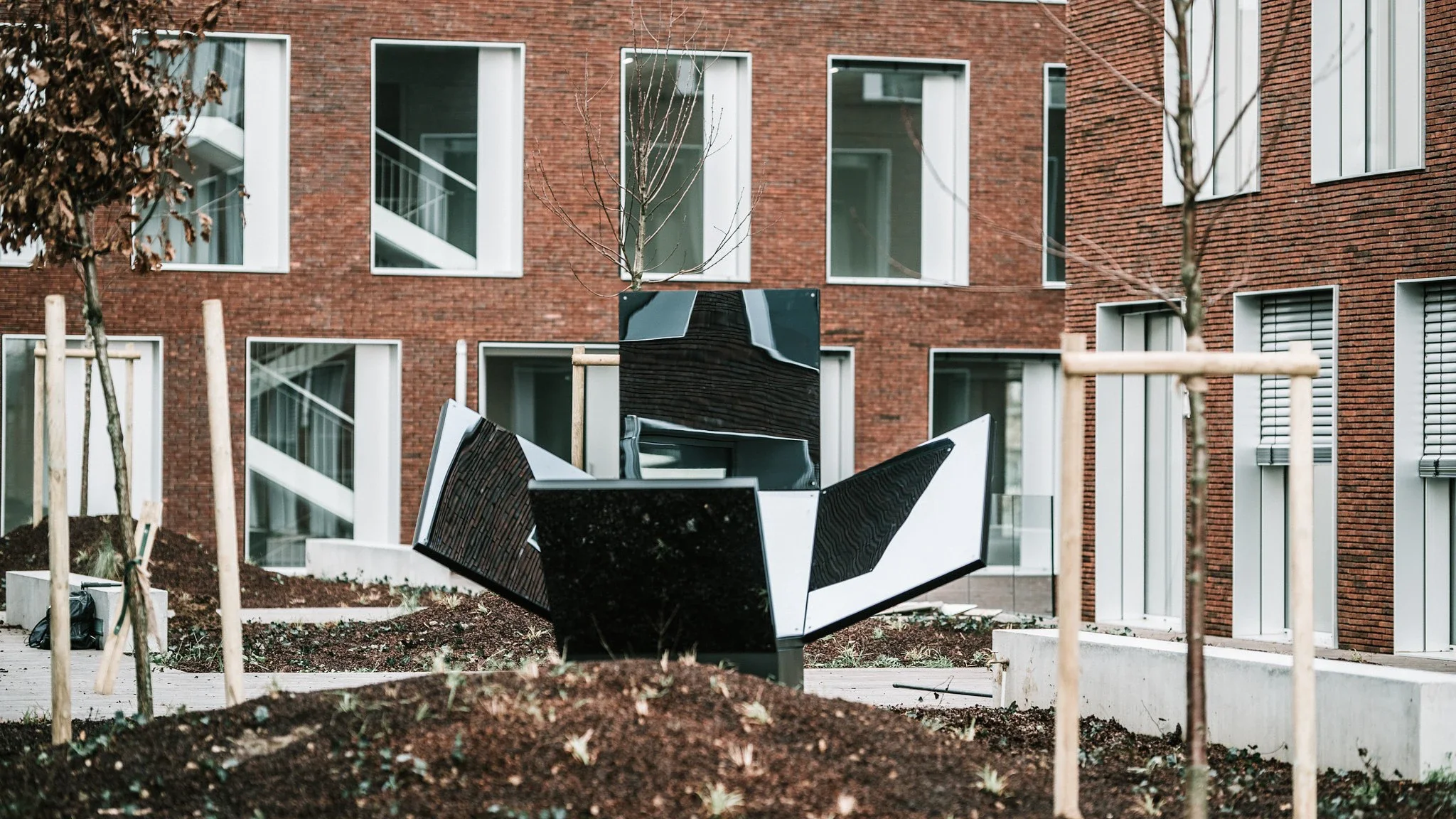 Photographie de marque, portrait et reportage corporate à Lille. - Sébastien Gras