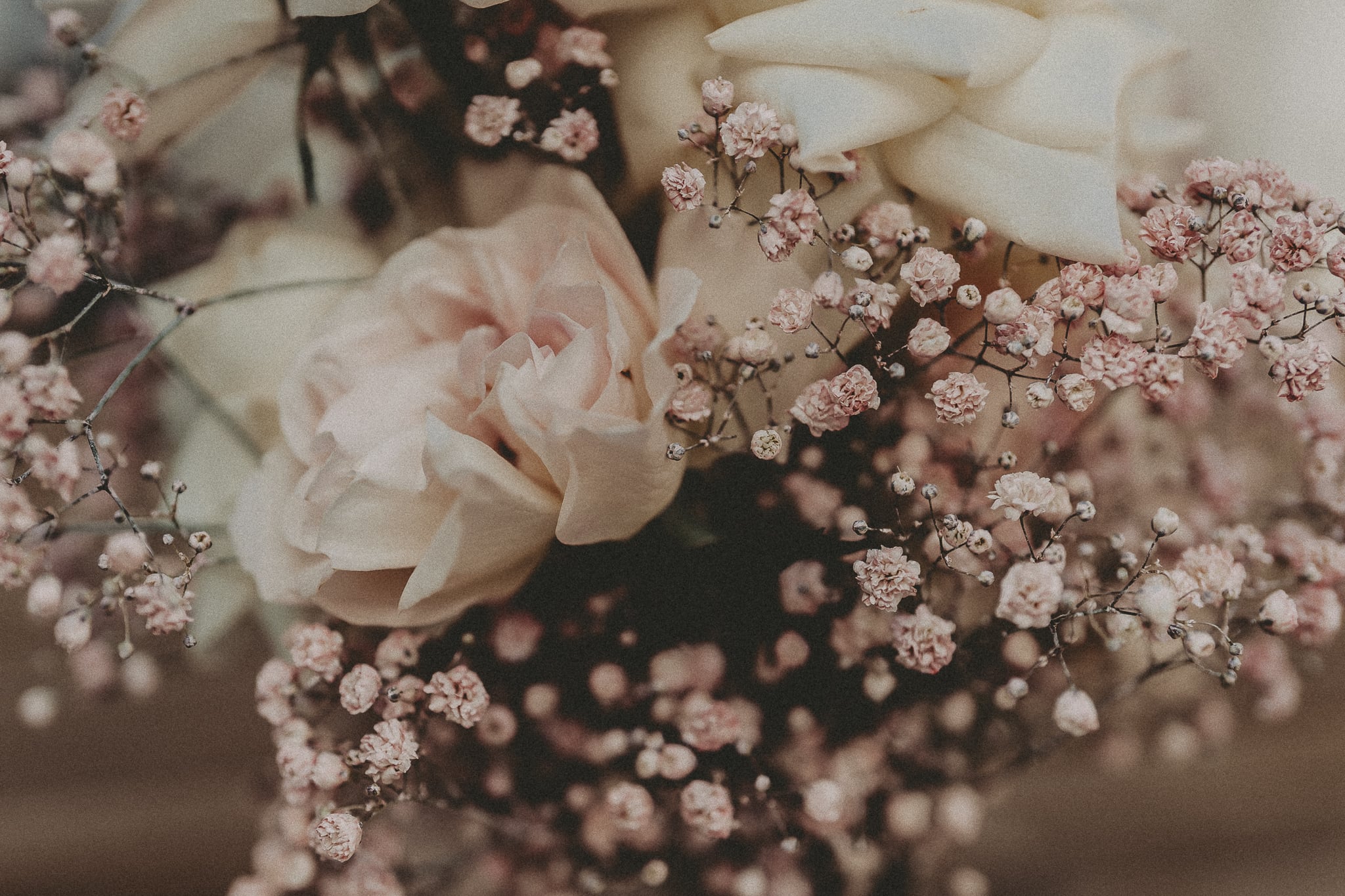 Photographie de cérémonie et de mariage à Lille. - Sébastien Gras