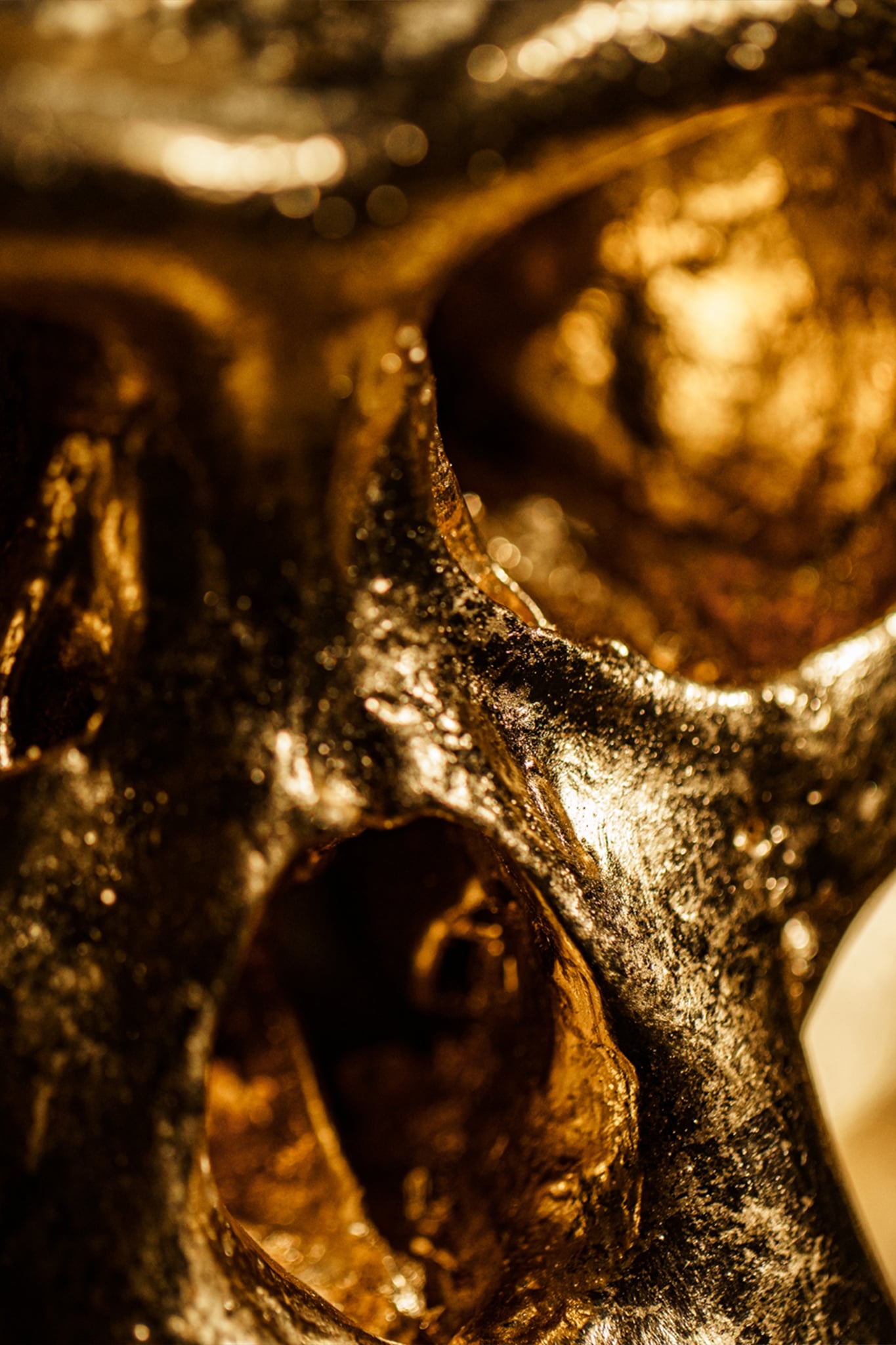 Projet Ouroboros avec Quentin Carnaille : photographie artistique. - Sébastien Gras