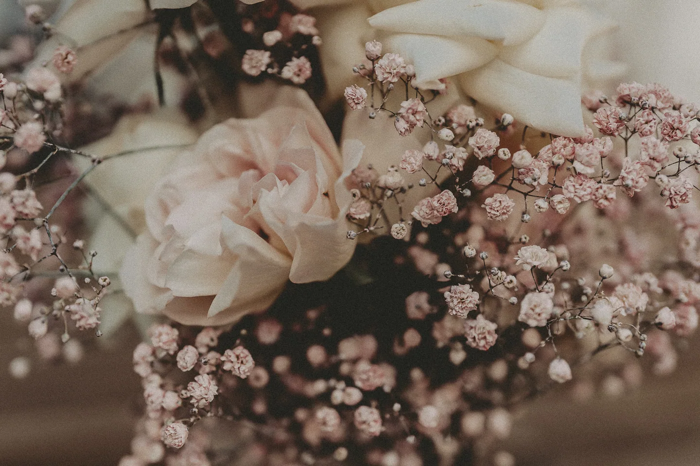 Roses pâles et gypsophile d’un bouquet de mariage.